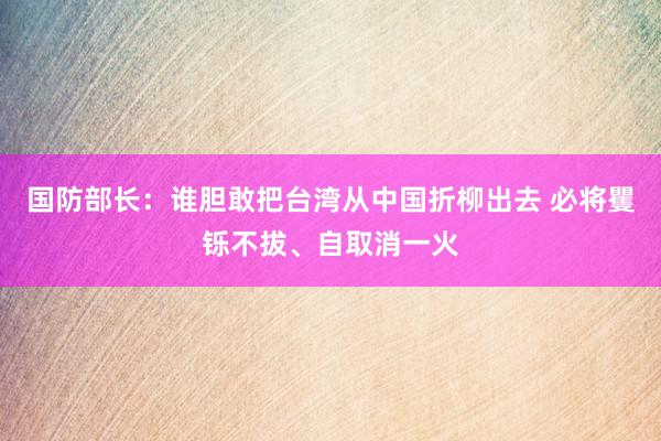 国防部长：谁胆敢把台湾从中国折柳出去 必将矍铄不拔、自取消一火