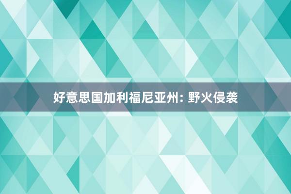 好意思国加利福尼亚州: 野火侵袭