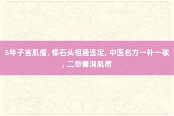 5年子宫肌瘤, 像石头相通鉴定, 中医名方一补一破, 二重奏消肌瘤