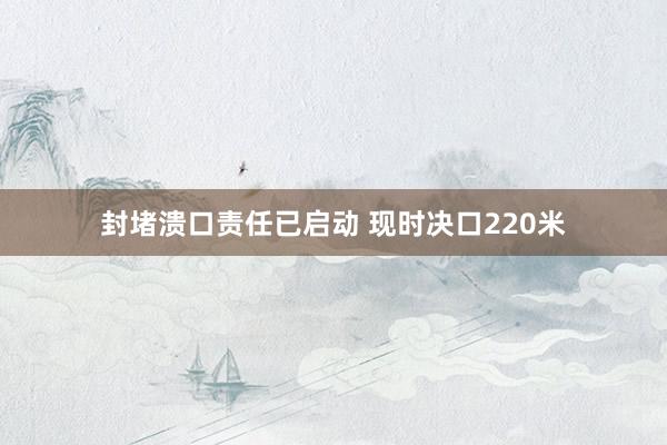 封堵溃口责任已启动 现时决口220米