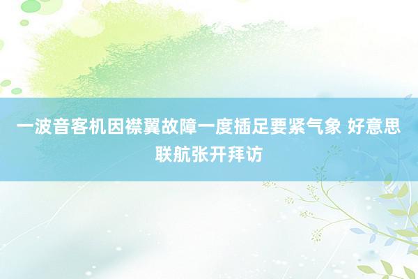 一波音客机因襟翼故障一度插足要紧气象 好意思联航张开拜访