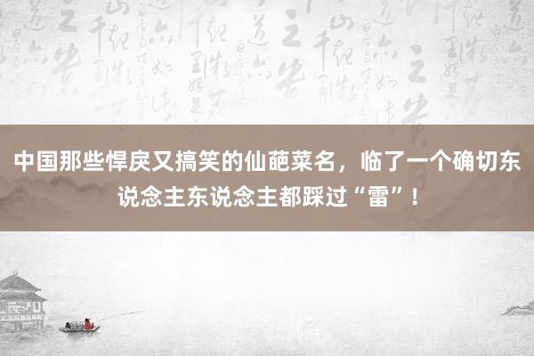 中国那些悍戾又搞笑的仙葩菜名，临了一个确切东说念主东说念主都踩过“雷”！