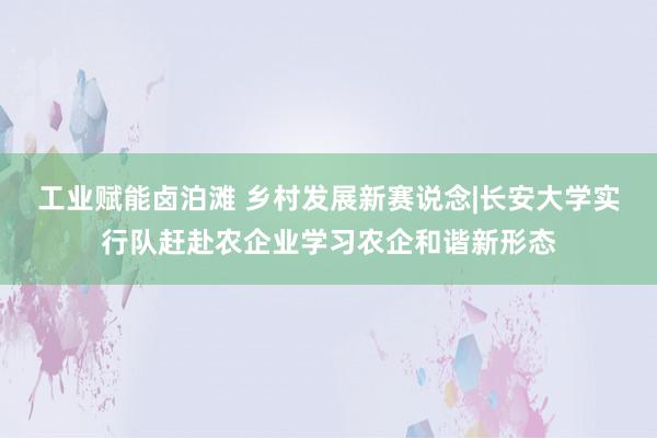 工业赋能卤泊滩 乡村发展新赛说念|长安大学实行队赶赴农企业学习农企和谐新形态