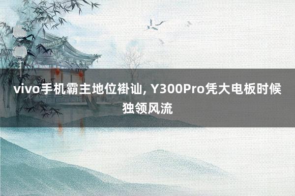 vivo手机霸主地位褂讪, Y300Pro凭大电板时候独领风流