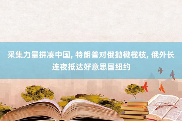 采集力量拼凑中国, 特朗普对俄抛橄榄枝, 俄外长连夜抵达好意思国纽约