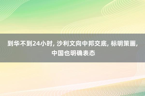 到华不到24小时, 沙利文向中邦交底, 标明策画, 中国也明确表态