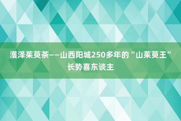 濩泽茱萸茶——山西阳城250多年的“山茱萸王”长势喜东谈主