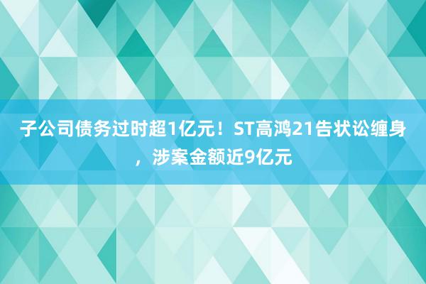 子公司债务过时超1亿元！ST高鸿21告状讼缠身，涉案金额近9亿元