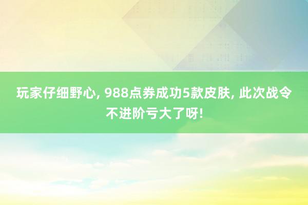 玩家仔细野心, 988点券成功5款皮肤, 此次战令不进阶亏大了呀!