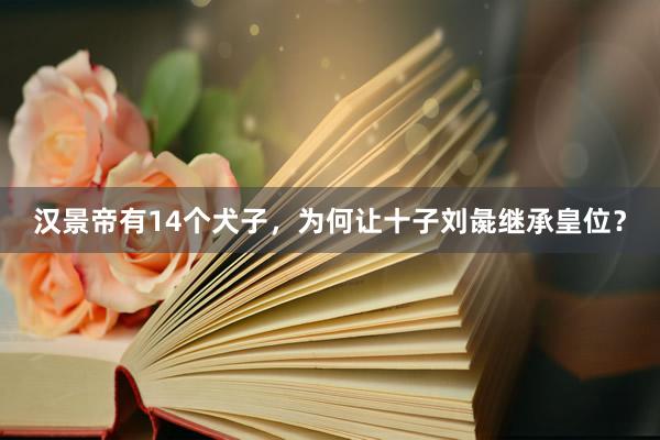 汉景帝有14个犬子，为何让十子刘彘继承皇位？