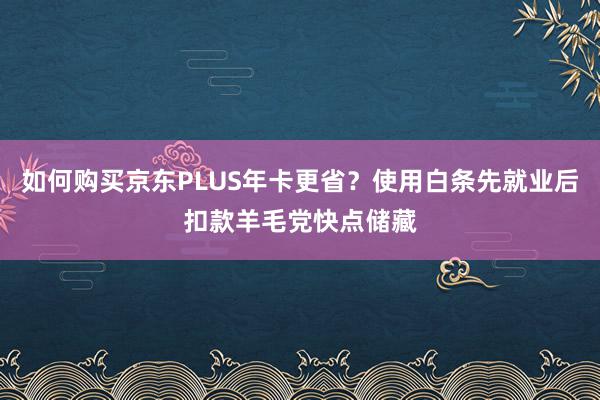 如何购买京东PLUS年卡更省？使用白条先就业后扣款羊毛党快点储藏