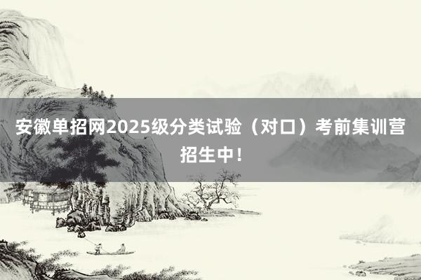 安徽单招网2025级分类试验（对口）考前集训营招生中！