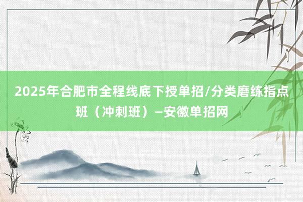 2025年合肥市全程线底下授单招/分类磨练指点班（冲刺班）—安徽单招网