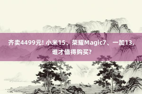 齐卖4499元! 小米15、荣耀Magic7、一加13, 谁才值得购买?